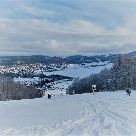 Bergchalet Heidestock * Willingen (Upland)