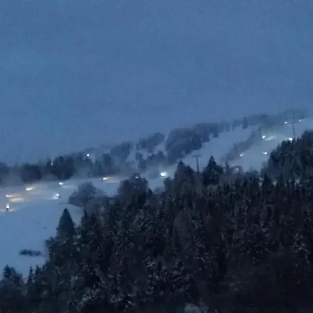 Bergchalet Heidestock *