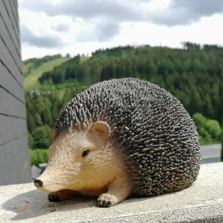 Bergchalet Heidestock Apartamento Willingen (Upland)