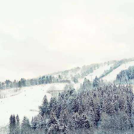 Apartment Bergchalet Heidestock *