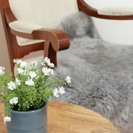 アパート Bergchalet Heidestock ヴィリンゲン