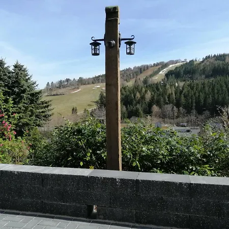 Bergchalet Heidestock * Willingen (Upland)