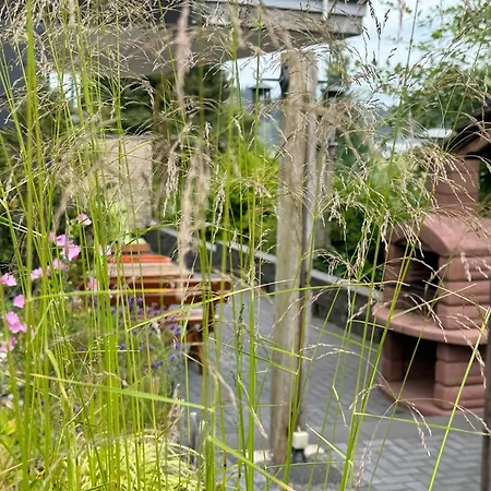 Bergchalet Heidestock Apartment Willingen (Upland)